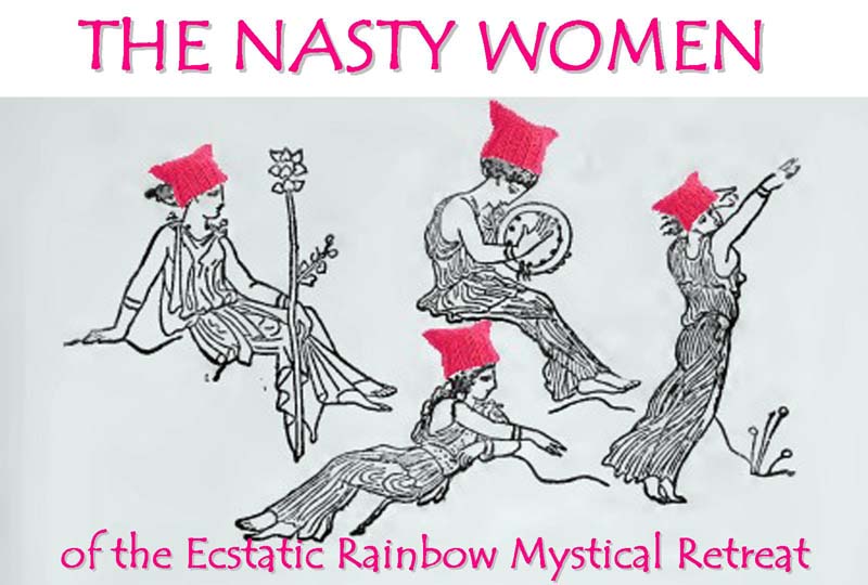 The Nasty Women Logo